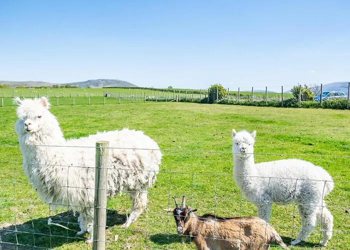 2 Bed In Isel Oc-o32077 Holiday home *