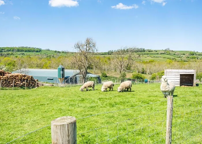 2 Bed In Isel Oc-o32077 Holiday home *